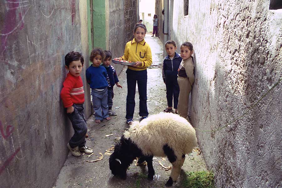Children in Tartus, Syria