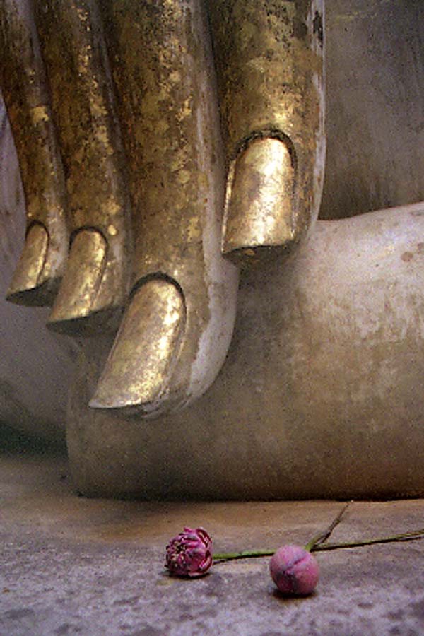 Hand of Buddha, Sukothai, Thailand