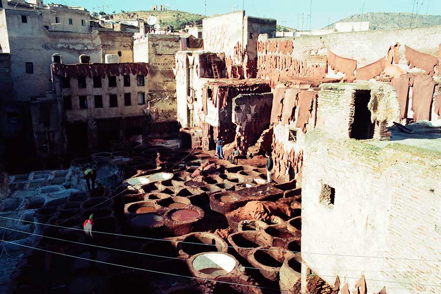 Tanning Pits in Fez