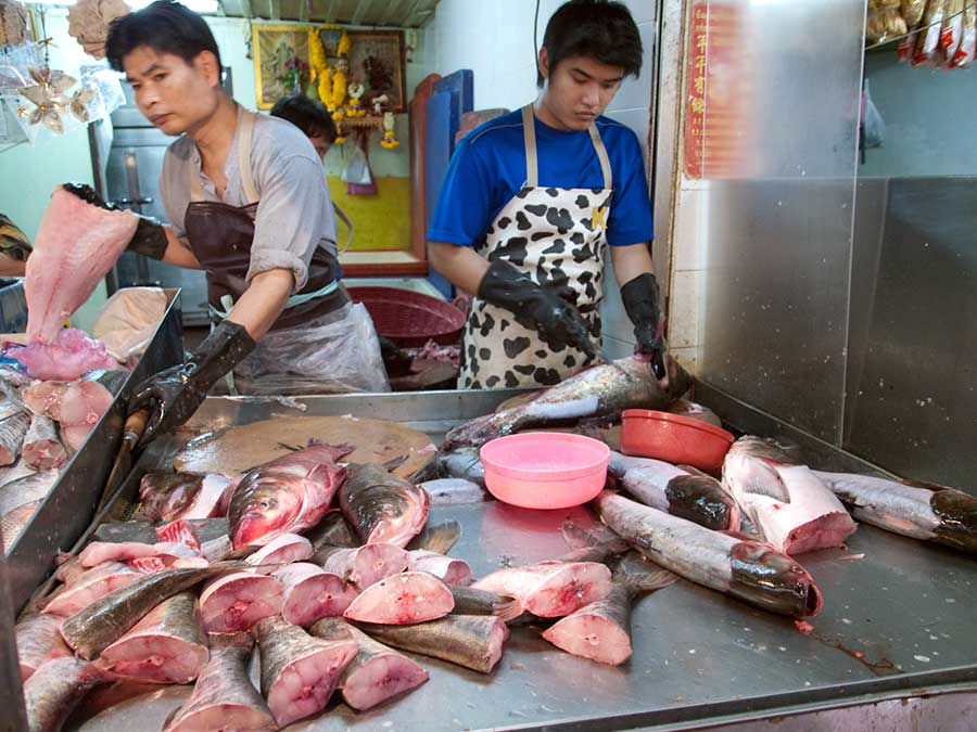 Fresh Fish For Sale in Chinatown, Bangkok, Thailand