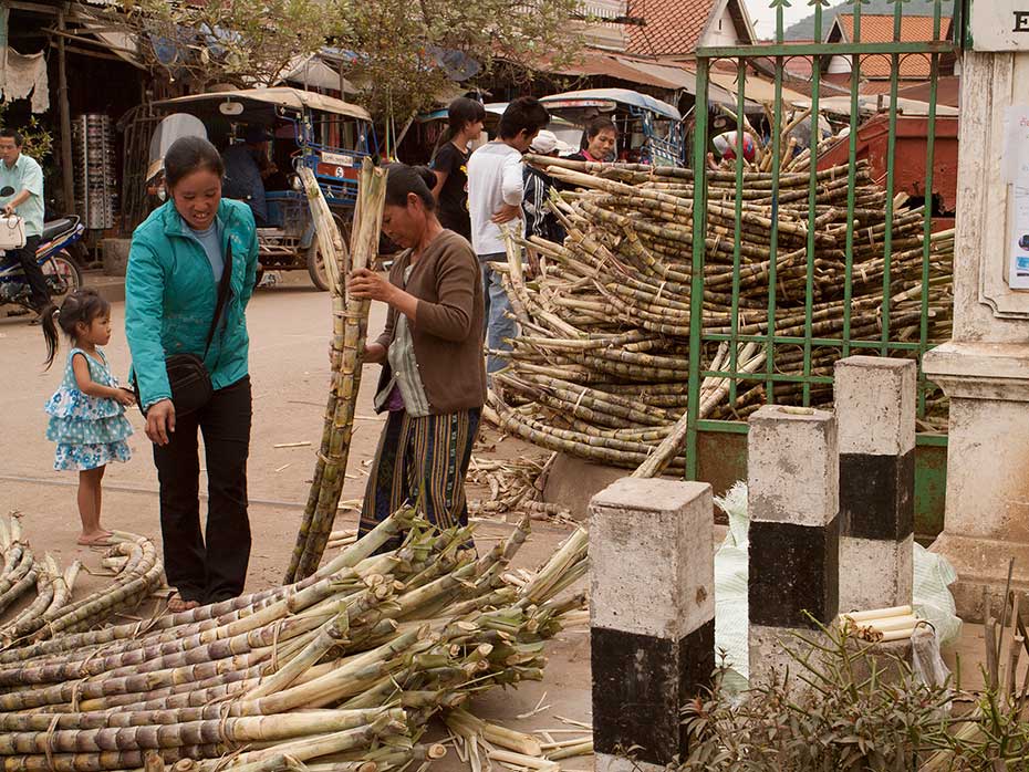 Sugarcane For Sale in Luang Prabang, Laos