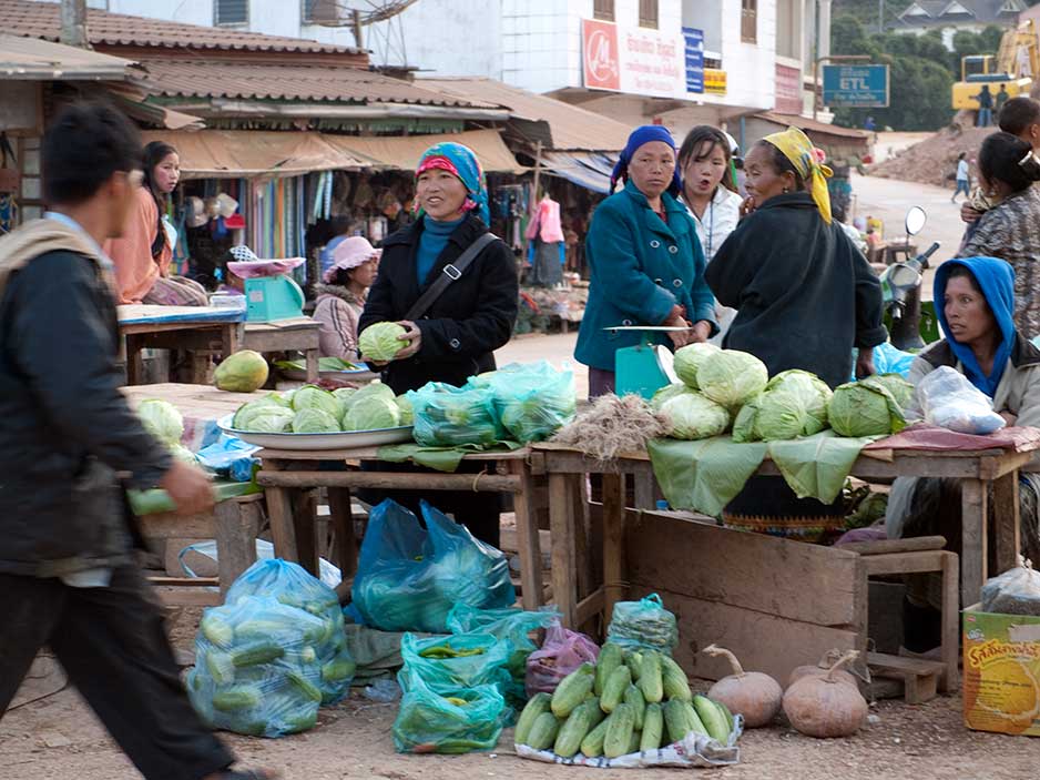 Rural Vegetable Market South of Luang Prabang, Laos