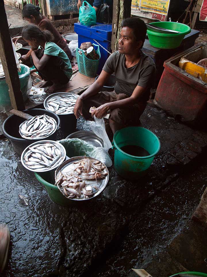 Man Selling Fish in Sittwe Market, Myanmar